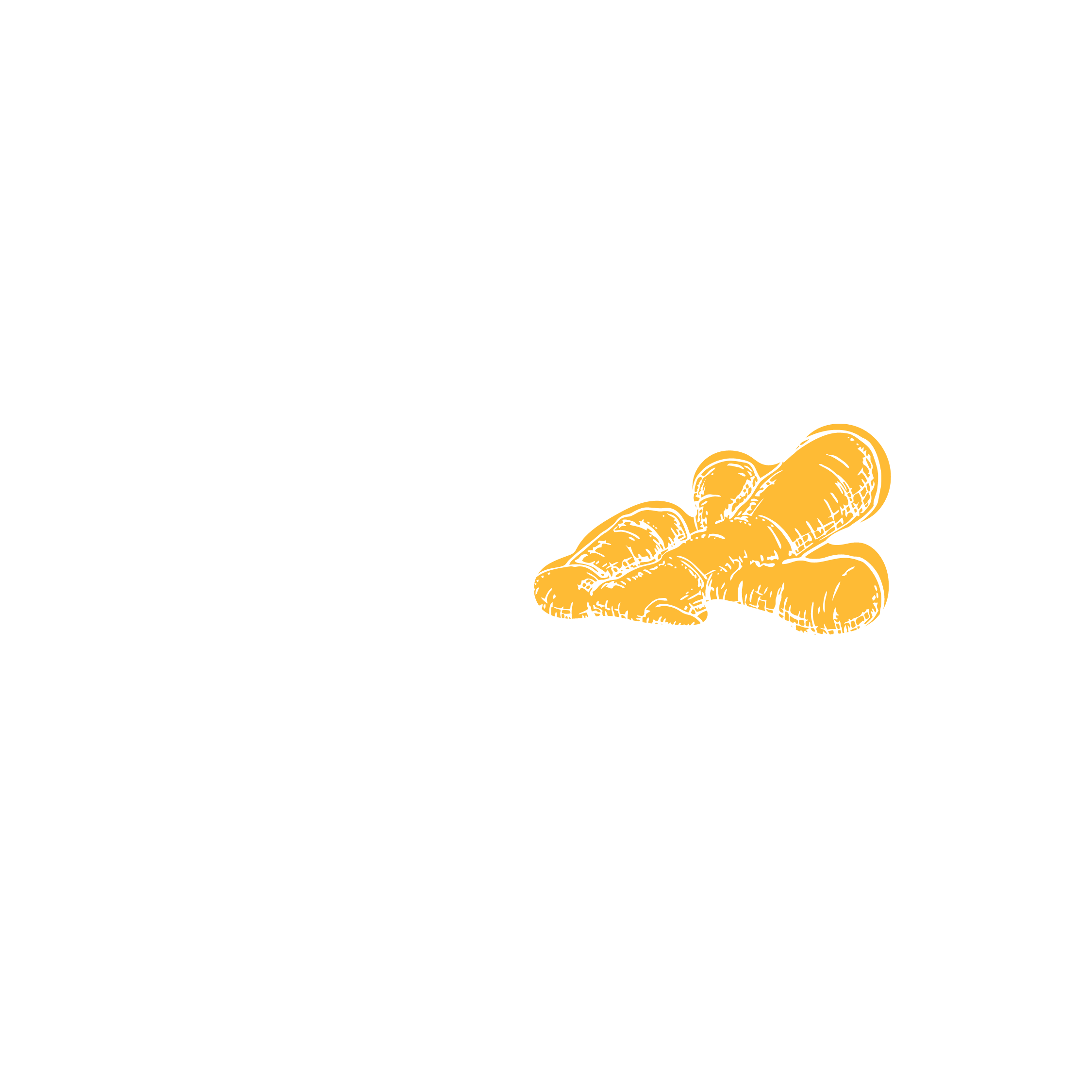 Jengibre Co.